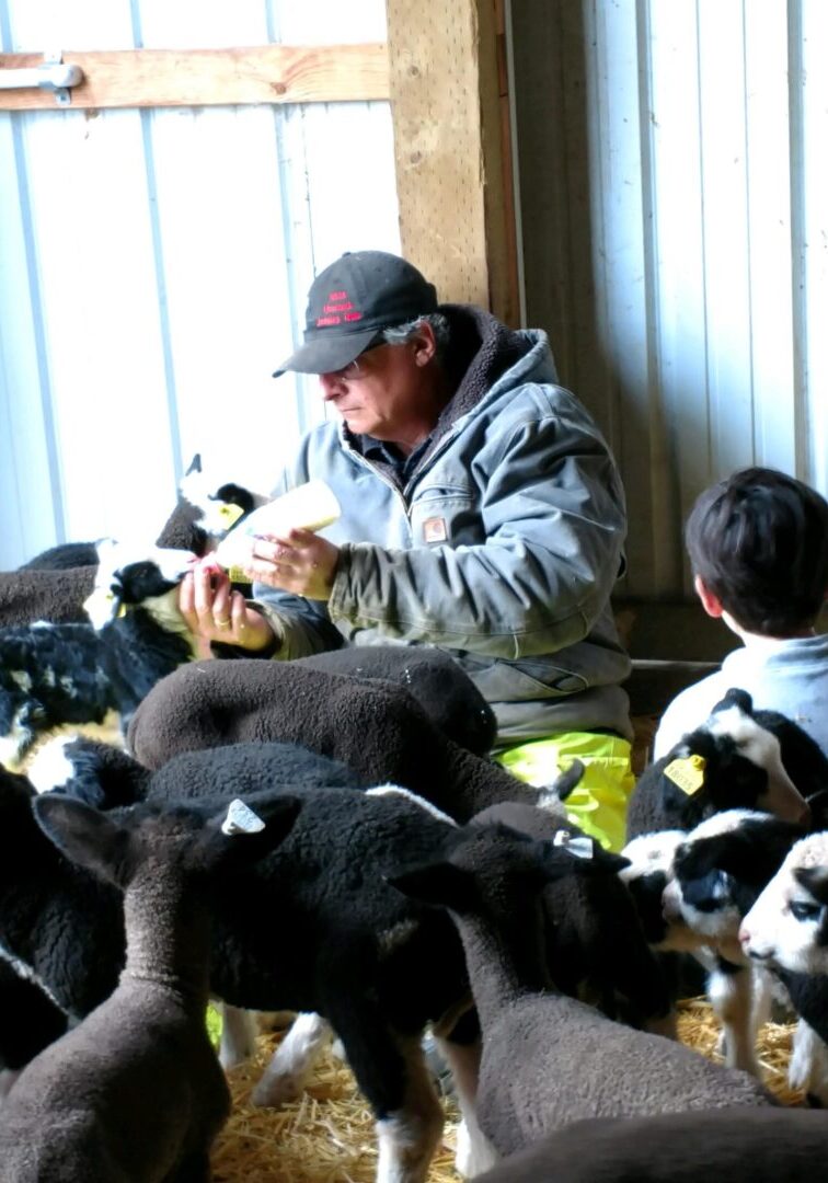 Person feeding a group of puppies indoors.